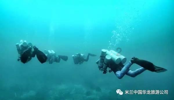 自热火锅那个牌子好